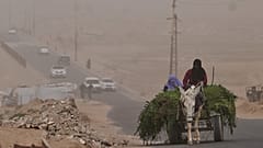 Palestinian women ride a donkey cart along the coastal road in Wadi Gaza during a dust storm in the central Gaza Strip, Saturday, Feb. 14, 2026.