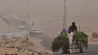 نساء فلسطينيات يستقللن عربة يجرها حمار على الطريق الساحلي في وادي غزة خلال عاصفة غبارية في وسط قطاع غزة، يوم السبت 14 فبراير 2026.