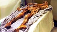 Die rund 5300 Jahre alte Leiche von OETZI im Musuem in Bozen