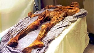Die rund 5300 Jahre alte Leiche von OETZI im Musuem in Bozen