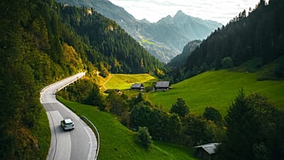 Europe boasts some of the best wildlife road trip routes