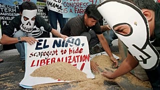 El Niño : l’ONU peine à financer la prévention des crises alimentaires