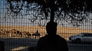 Israeli settler moves with his camels toward an outpost near his family compound in the outskirts of the West Bank town of Taybeh, Thursday, Sept. 24, 2026.