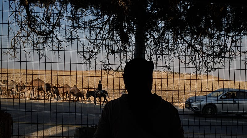 من سرقة الينابيع إلى "جنة عدن".. كيف يستولي المستوطنون على مياه الضفة الغربية المحتلة؟ 