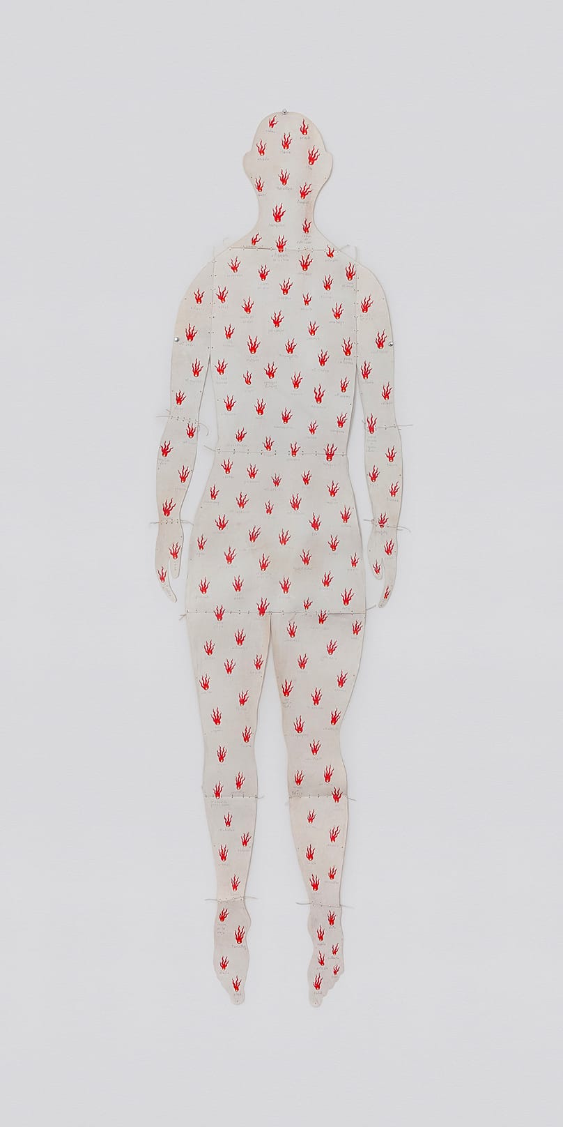 Skin-book, 1996-2026. Alex Cerveny.