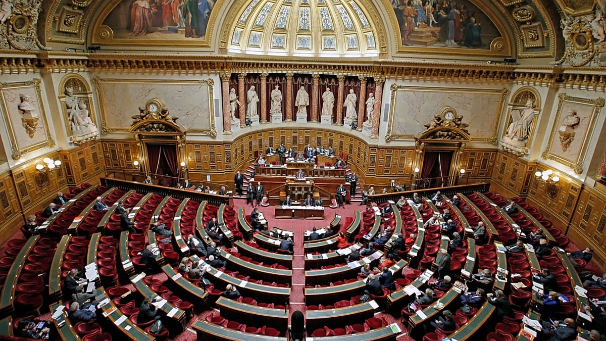 France’s far-right National Rally gains ground in Senate and forms group for first time France’s far-right National Rally gains ground in Senate and forms group for first time