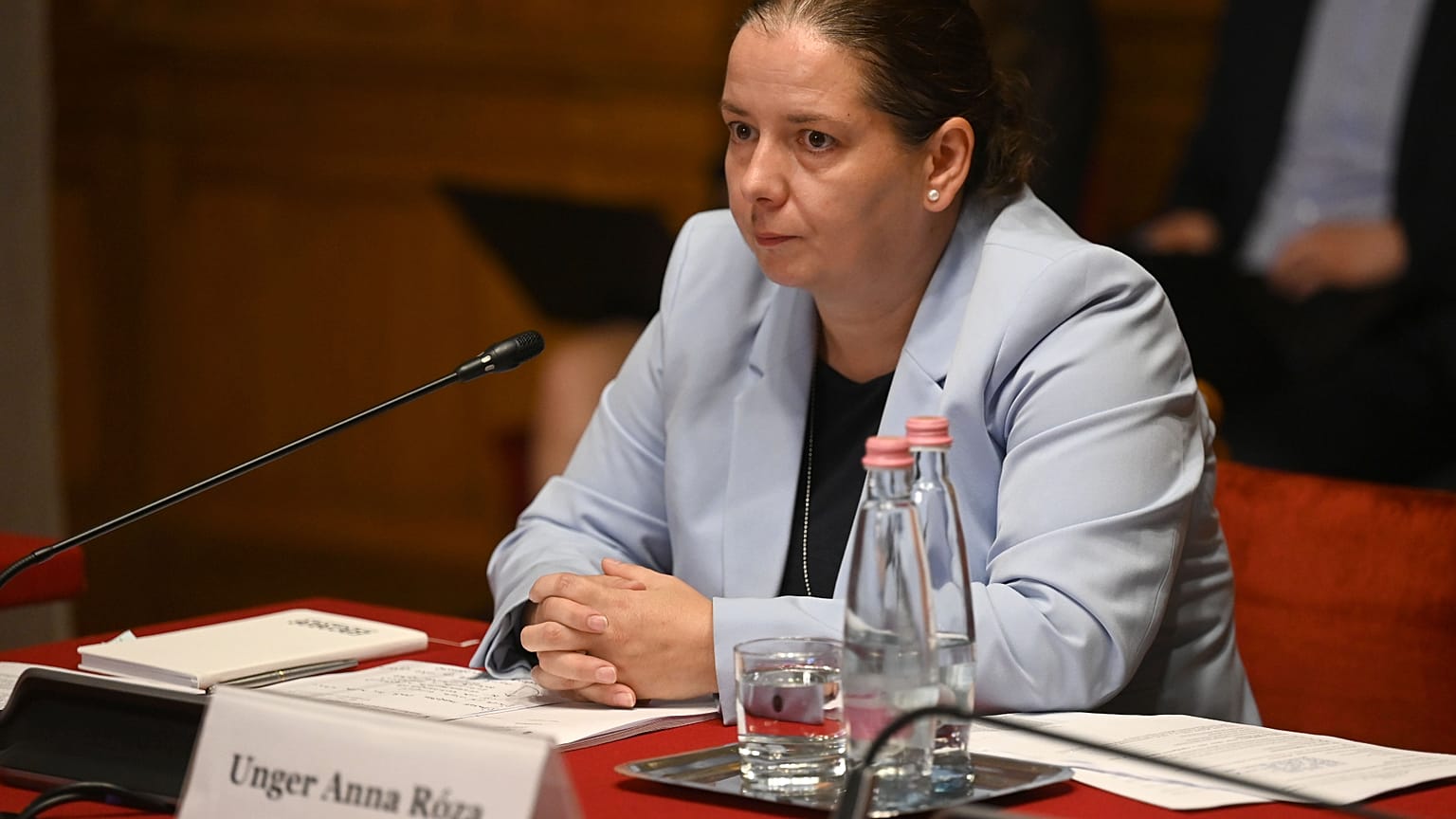 Unger Anna, az NVVH vezetője