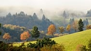 Der Schwarzwald ist eine der Regionen, in der es öfter zu Erdbeben kommt. 