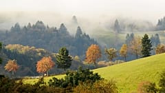 Der Schwarzwald ist eine der Regionen, in der es öfter zu Erdbeben kommt. 