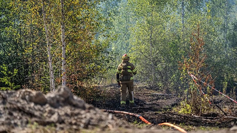 Feuerwehrkräfte konnten den Waldbrand löschen. Nicht aber den Schwelbrand unter der Erde.