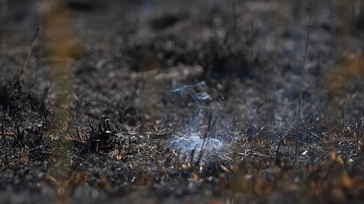 Underground fire: Blaze in German lignite mine cannot be extinguished