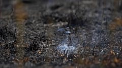 For several months, coal has been burning underground in the former opencast mine. (Stock image)