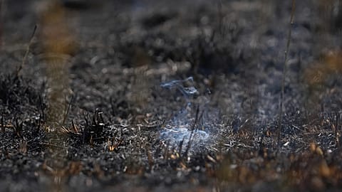 For several months, coal has been burning underground in the former opencast mine. (Stock image)