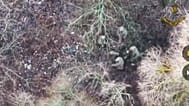 Ukrainian forces capturing two North Korean soldiers fighting alongside Russian forces in Russia’s Kursk border region, 11 January, 2025
