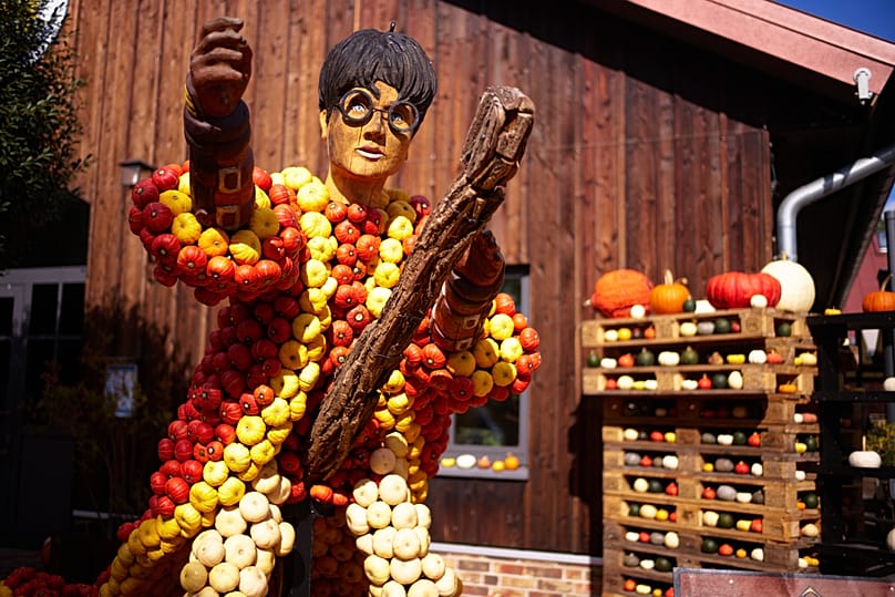 Eine "Harry Potter“-Figur aus Kürbissen