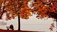 Archiv. Ein junges Paar sitzt an einem nebligen Herbsttag am Ufer des Bodensees im Lotzbeckpark in Lindau, Deutschland, am 1. November 2020.