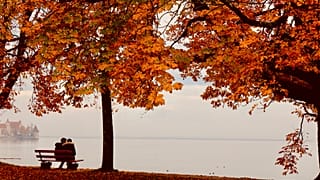 Archiv. Ein junges Paar sitzt an einem nebligen Herbsttag am Ufer des Bodensees im Lotzbeckpark in Lindau, Deutschland, am 1. November 2020.