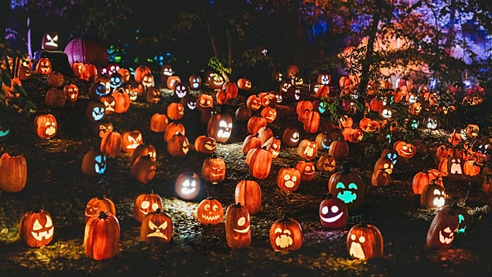 Where to celebrate Halloween 2026 in Europe: Spooky cities, haunted hotels and scary events Fancy a fright? These European destinations, hotels and Halloween events promise everything from Gothic legends to full-blown horror.