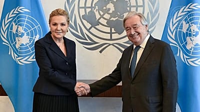 H Μόνιμη Αντιπρόσωπος της Ελλάδας στα Ηνωμένα Έθνη, Αγλαΐα Μπαλτά κατά την επίδοση των διαπιστευτηρίων της στον ΓΓ του ΟΗΕ Αντόνιο Γκουτέρες (φωτογραφία αρχείου)