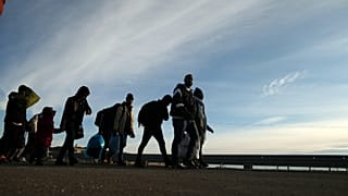 Asylum-seekers trying to enter Greece from the Turkish border