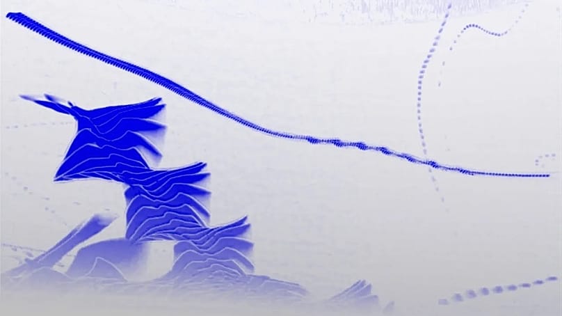 Various birds flying. A gull is flying by just in front of the camera; possibly taking off after having rested on the turbine; the other tracks show birds and insects.