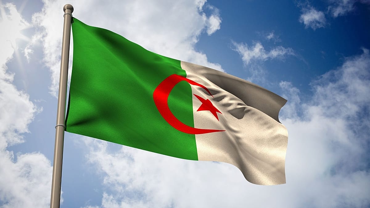 صورة الخبر