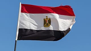 العلم المصري 