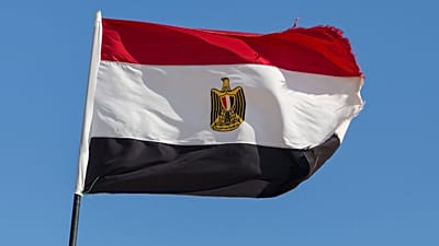 العلم المصري 