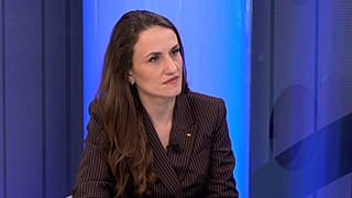 Oana-Silvia Țoiu, Romanian Foreign Minister