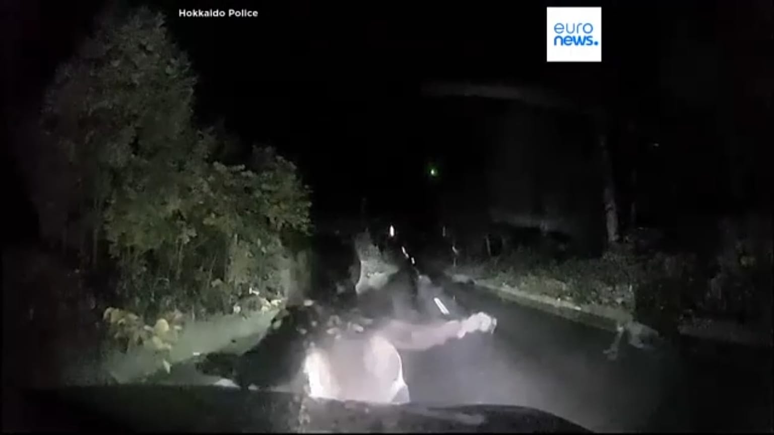 скриншот видео