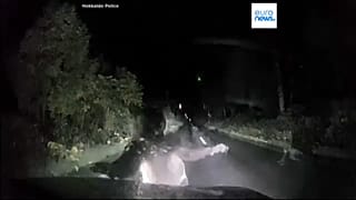 скриншот видео