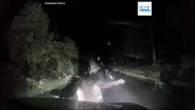 скриншот видео