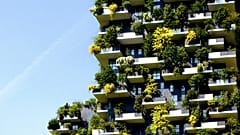 Cities across Europe, from Aalborg to Zaragoza, are vying for the title of Europe's greenest city