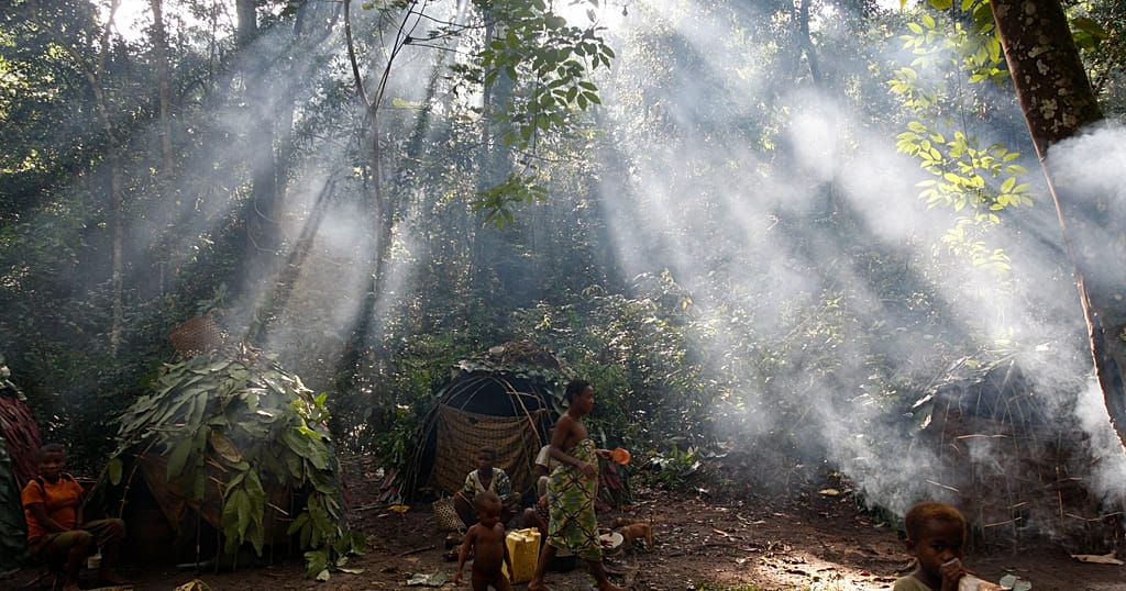 World Forest Week: FAO Calls for Investment in Arid Zones
