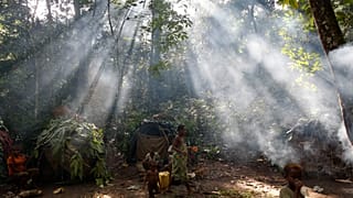 Semaine mondiale des forêts : la FAO appelle à investir dans les zones arides