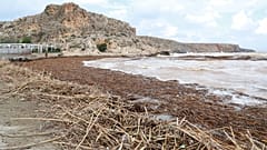 Naniesione przez wodę osady na plaży w Heraklionie na Krecie