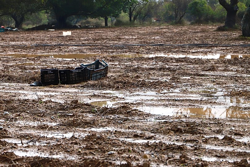 Daños en la Meseta de Lassithi