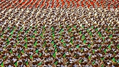 دولت استرالیا تحریم‌های چهار فرد مرتبط با سپاه پاسداران را تمدید کرد