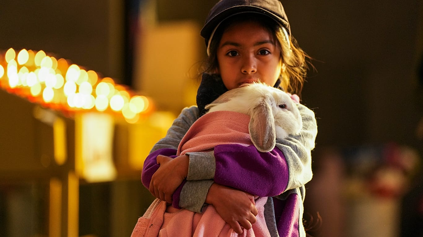 A girl carries her rabbit for a pet blessing ceremony at the Basilica of Our Lady of Mount Carmel on the feast day of St. Francis of Assisi in Santiago, Chile, Oct. 4, 2026