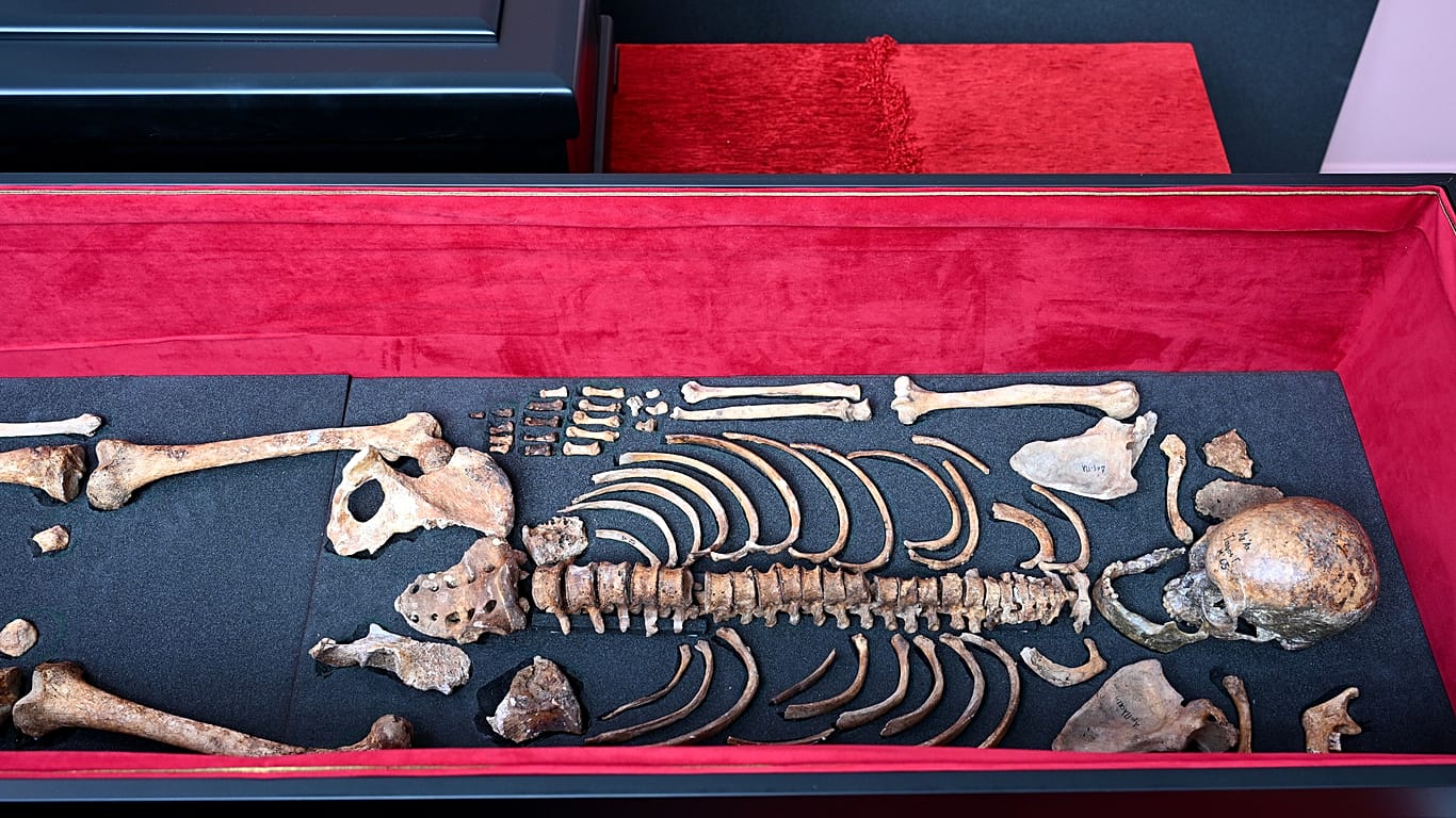 The remains of medieval ruler Czar Samuel are seen inside a coffin during a handover ceremony, in Thessaloniki, northern Greece, Saturday, Oct. 3, 2026.