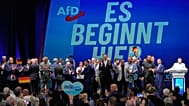 AfD-Mitglieder feiern nach den Landtagswahlen in Sachsen-Anhalt am 6. September  2026 in Magdeburg