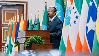 Tigray violence drives risk of Ethipia-Eritrea war, analyst says