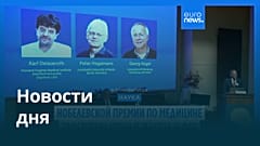 Новости дня | 6 октября 2026 г. — дневной выпуск