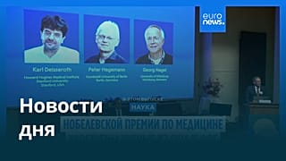 Новости дня | 6 октября 2026 г. — дневной выпуск