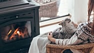 گربه‌ها و شادی جوامع