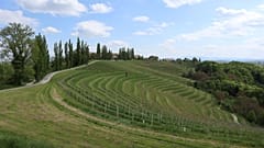 Slovenia's Štajerska was just named the best wine region in Europe