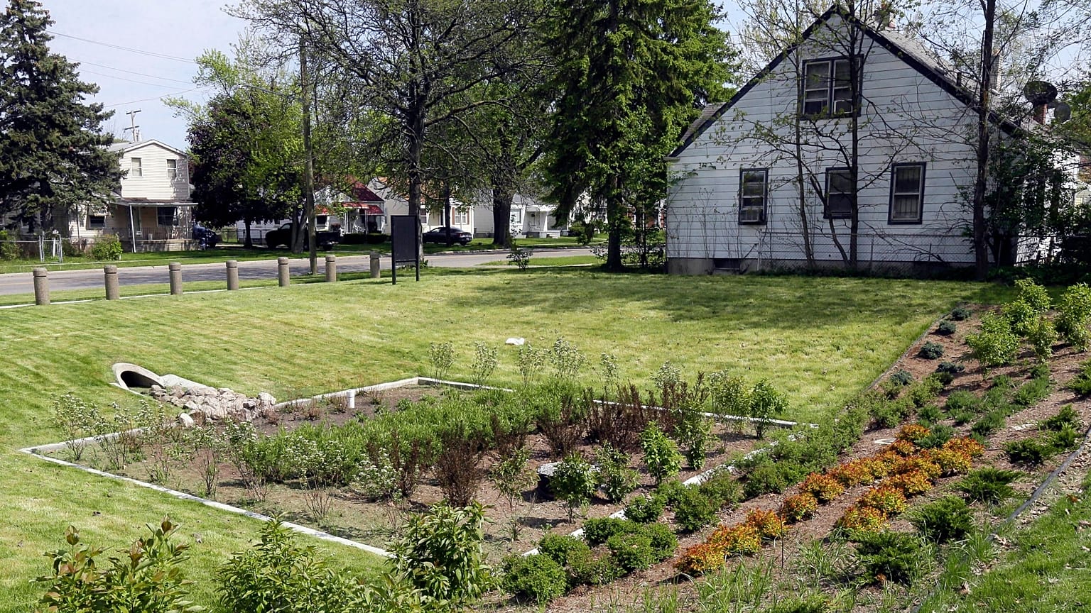 ARCHIVO - Un jardín de biorretención diseñado para recoger el agua de lluvia se ve en una casa del barrio de Warrendale, en Detroit, el 16 de mayo de 2016.