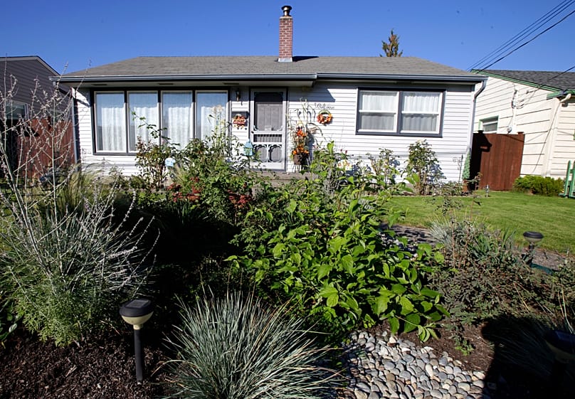 ARCHIVO - Un jardín de lluvia aparece en una zona residencial de Puyallup, Washington, el 18 de octubre de 2011.