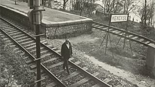 Yaşar Kemal Menekşe'de.