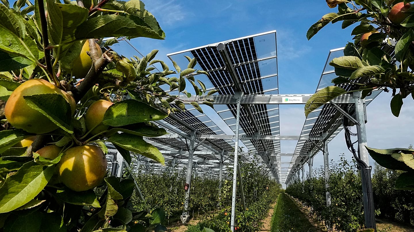 euronews.com - Solar panels promise farmers a lifeline. But who gets the profits?